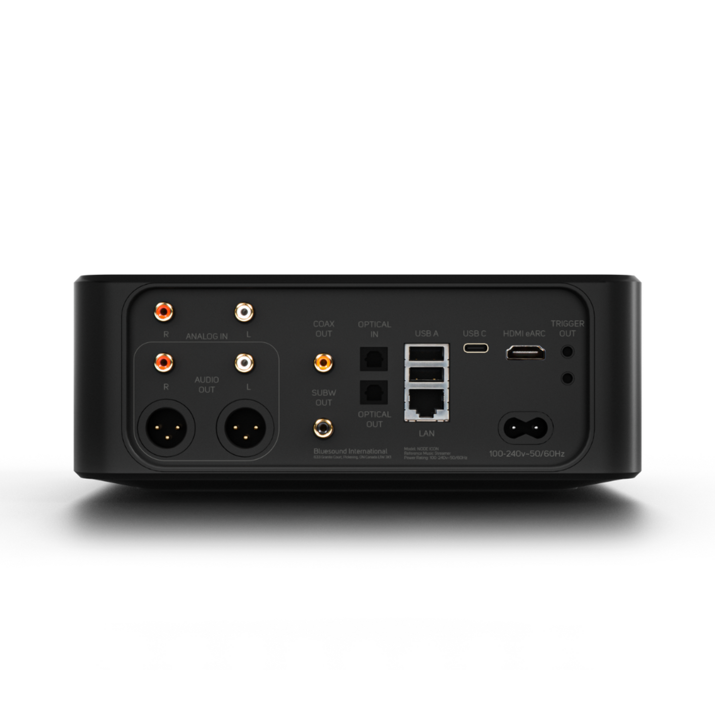 Bluesound Node Icon