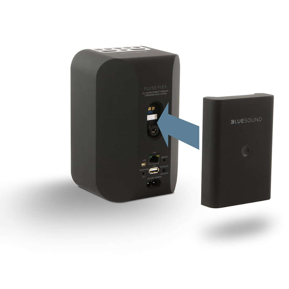 Pulse Flex Battey Pack