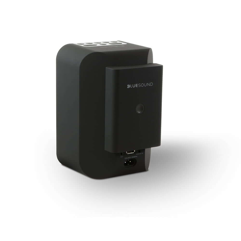 Pulse Flex Battey Pack