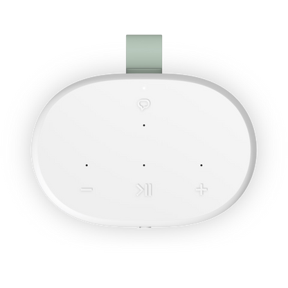 Sonos Play
